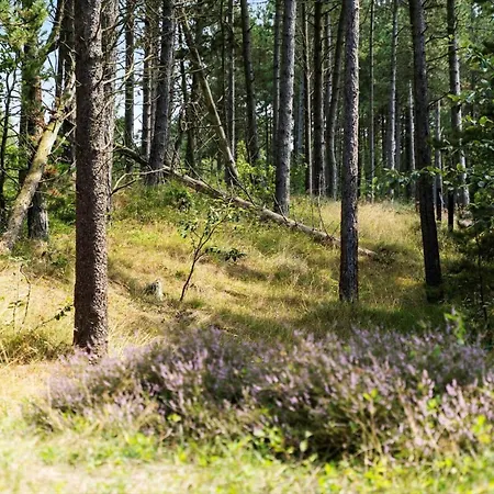 Hébergement de vacances 0196-romo-sukkertoppen-12 Kongsmark